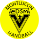Logo Etoile des Sports Montluçon Handball