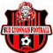 Logo Sud Lyonnais Football 2013