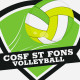 Logo CO St Fons Volley