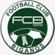 Logo FC Biganos 2