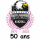 Logo Palente Besancon Handball 2