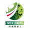 Logo Pays de Lesneven Handball 2