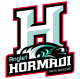 Logo Anglet Hormadi Elite