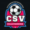Logo CS Villetaneuse
