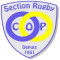 Logo CO Pontlieue Rugby