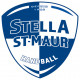 Logo Stella Sports Saint Maur Handball 3