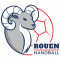 Logo Rouen Handball 2