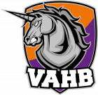 Logo Villeneuve le Roi Handball - Moins de 15 ans