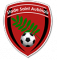 Logo Stade Saint Aubinais