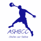 Logo Association Sportive Handball Club de Chalon 2