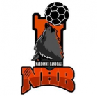 Logo Narbonne Handball - Féminines