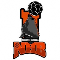 Logo Narbonne Handball
