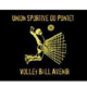 Logo US Pontet Volley Avenir 2