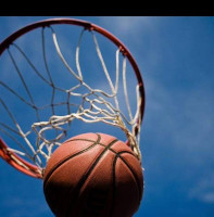 Logo Jeanne d'ARC de l'Oust - Basket-Ball