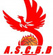 Logo Amiens Sporting Club Basket Ball 3