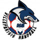 Logo USM Villeparisis Handball