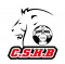 Logo Chevigny St Sauveur Handball