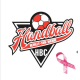 Logo Handball Club Neuilly sur Marne 2