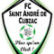 Logo FC St André de Cubzac 2