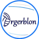 Logo Orgerblon Volley-Ball 3