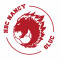 Logo HBC Nancy SLUC