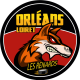 Logo Renards d'Orléans