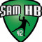 Logo Saint Etienne Masculin Handball