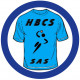 Logo Handball Club Sigeanais