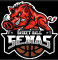 Logo Senas Basket Ball