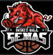 Logo Senas Basket Ball 2