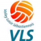 Logo Volley Loisir Sebastiennais 4