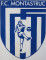 Logo FC Montastrucois