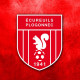 Logo Ecureuils Plogonnec