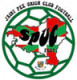 Logo Saint-Pée Union Club Foot