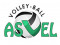 Logo ASVEL Volley 2