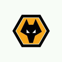 Logo Wolverhampton