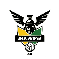 Logo Mandelieu la Napoule VB 3
