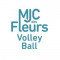 Logo MJC les Fleurs de Pau 2