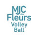 Logo MJC des Fleurs Volleyball - Pau