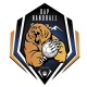 Logo Gap Handball