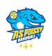 Logo Association Sportive Poissy Handball 3