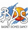 Logo Basket Dômes Sancy