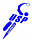 Logo US Palaiseau Handball