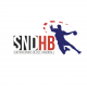 Logo Sud Nivernais Decize HB