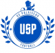 Logo US Palaiseau Football 3