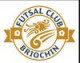 Logo St Brieuc Futsal Club Briochin