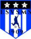Logo ES Verdelais St-Maixant Semens 2
