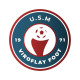 Logo USM Viroflay Football 2