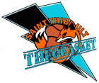 Logo Théobasket - St Thibault des Vignes - Féminines
