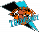 Logo Théobasket - St Thibault des Vignes